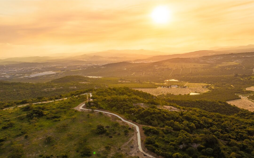 Why more people are putting down roots in the Lowveld